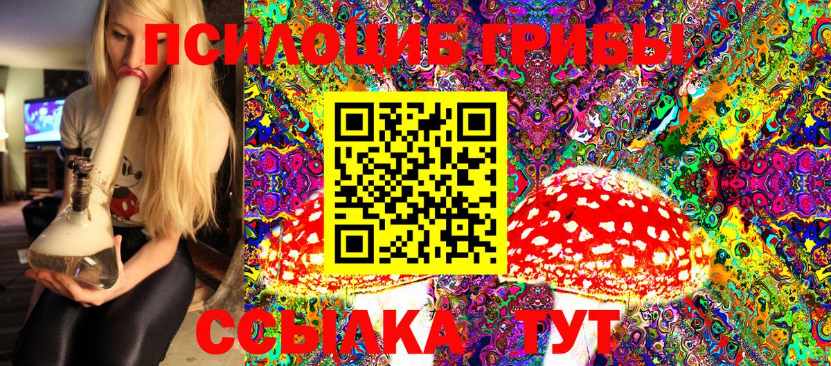 Псилоцибиновые грибы Psilocybine cubensis  Галлюциногенные грибы прущие грибы  купить наркоту  Вход с VPN  Выборг 