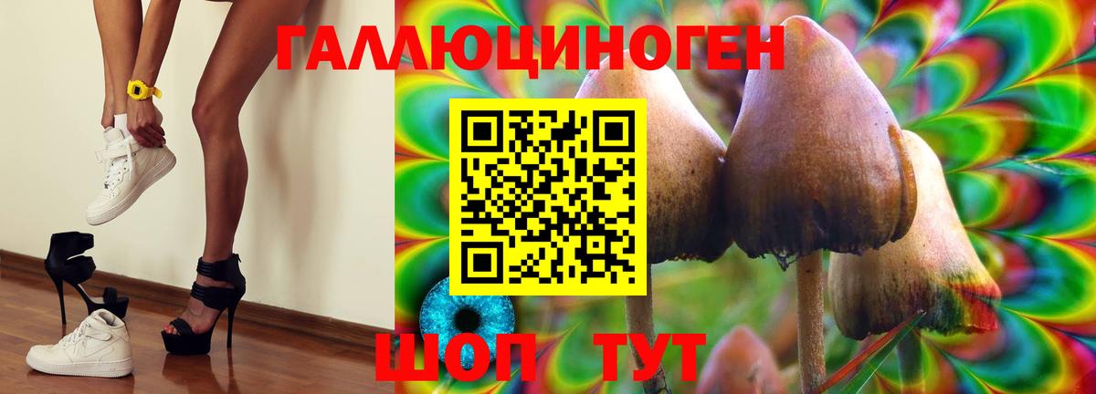 Галлюциногенные грибы GOLDEN TEACHER Выборг
